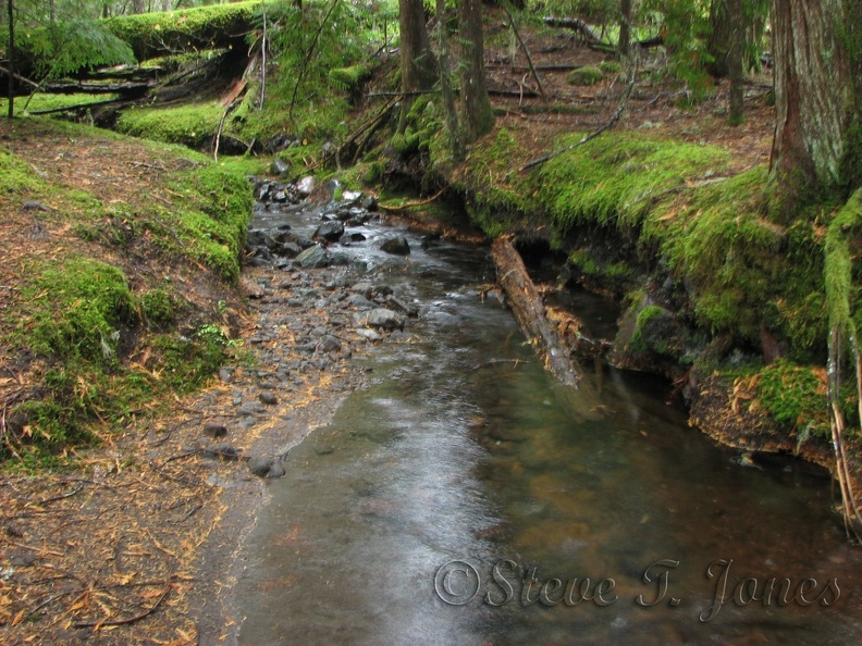 Ramona Creek parallels the trail for about a mile and is a very pretty creek.