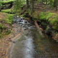 Ramona Creek parallels the trail for about a mile and is a very pretty creek.