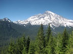 Mt. Rainier from Rampart Ridge Trail