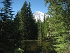 Pond and Mt. Rainier from Rampart Ridge Trail