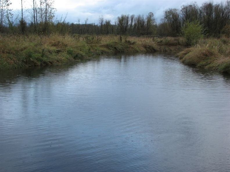 Gee Creek looking north as it slowly flows north from Carty Lake in the Ridgefield National Wildlife Refuge. Picture taken from the wood bridge over Gee Creek.