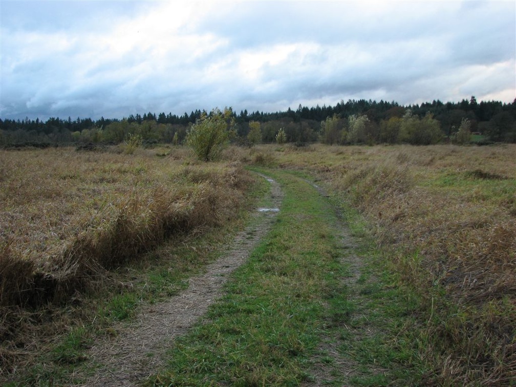 Typical picture of the trail/service road going across the meadows and wetlands on the west side of the Ridgefield National Wildlife Refuge.