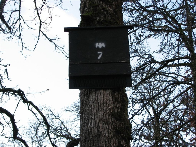 A bat house at the Ridgefield National Wildlife Refuge.