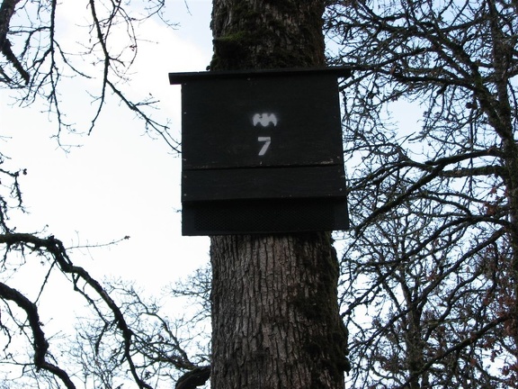 A bat house at the Ridgefield National Wildlife Refuge.