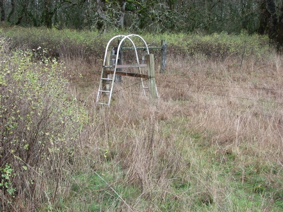 Ladder crossing of a barbed-wire fence on the northern end of the Ridgefield National Wildlife Refuge.