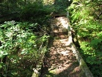 This bridge once carried horses with ease. Now it lies with its back broken from old age and heavy snows.