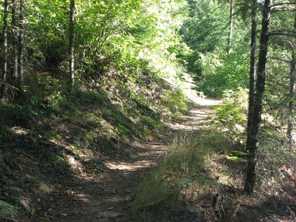 The Pacific Crest Trail near where it crosses the Forest Service Road.