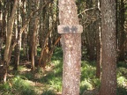 Trail junction at Benson Way showing a typical trail sign.