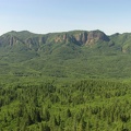 Saddle Mountain viewpoint looking at a Mountain Ridge to the west looking across a forested valley of Red Alder and Douglas Fir