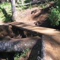 Saddle Mountain Trail recent maintenance showing a rebuilt bridge
