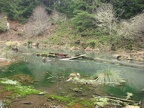 One of the Sag Ponds downhill a bit from the trail.