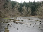 The second Sag Pond that I saw was right next to the trail.