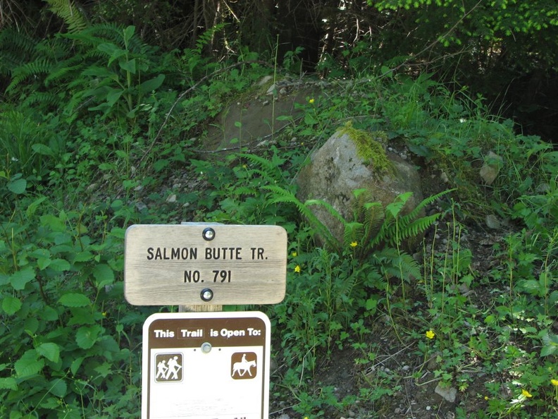 Trailhead sign for Trail 791, Salmon Butte on the right side of the road, as you're driving up to the parking area.