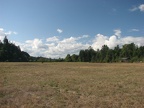 Meadows along the Salmon Creek Trail.