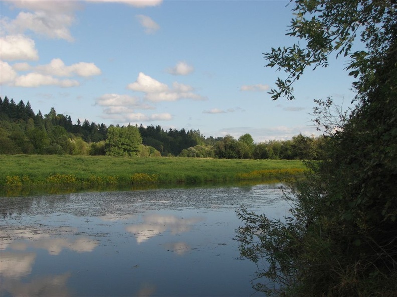 Ponds along the Salmon Creek Trail.