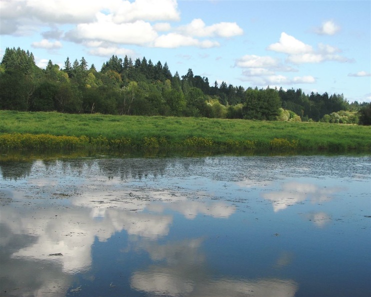 Ponds along the Salmon Creek Trail.