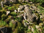 Animal skeleton at the base of the scree field