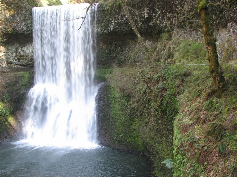 One of the two waterfalls in Silver Falls State Park that you can walk behind.