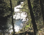 Sun shining on Silver Creek in Silver Falls State Park.