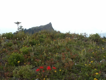 Sturgeon Rock