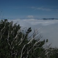 Mt. St. Helens and marine cloud layer