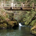 Log bridge across Siouxon Creek near the upper falls.
