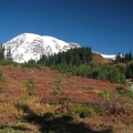 Fall colors with the Skyline trail on the right.