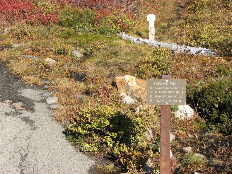 Picture of one of the many trail junctions along the Skyline Trail. This is just uphill from the new Jackson Memorial Visitor's Center.