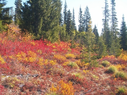 Fall colors on the trail to Bench Lake