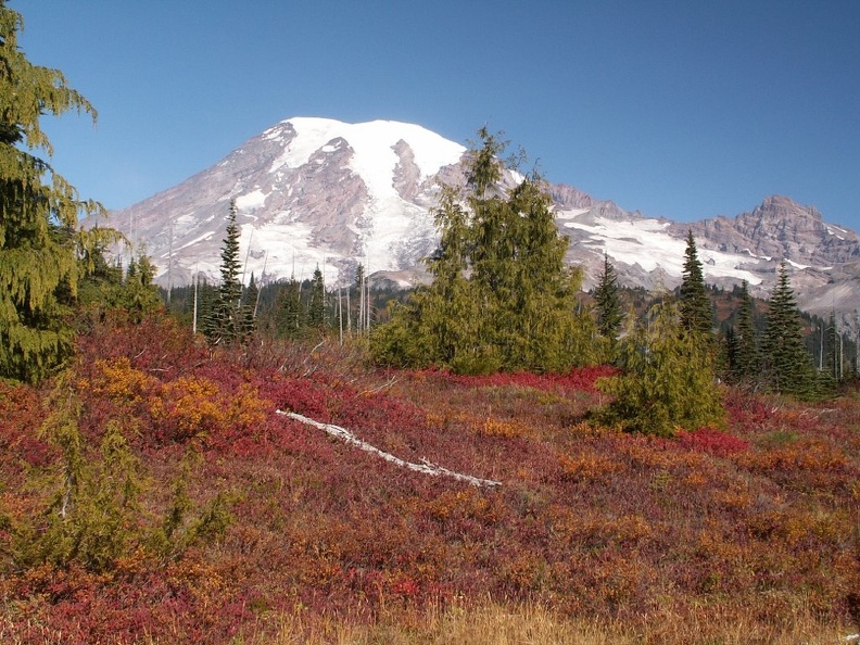 The window to see fall colors in the park is short. This was taken 9/27/2005 on the trail to Bench Lake.