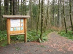 Trailhead photo for the Step Creek hike. The trail follows the Gales Creek Trail for a while.