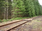 Step Creek Trail crosses a set of railroad tracks. The tracks are seldom used.