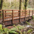 A sturdy bridge crosses a small creek along the Step Creek Trail.