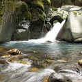 Stevens Creek cascades over rocks polished smooth by raging floods each fall.