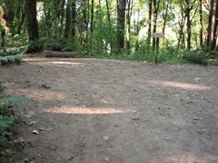 This is where the Wildwood Trail crosses the Dogwood Trail. You can see the signs have been vandalized so the junction isn't signed when this photo was taken in August 2010.