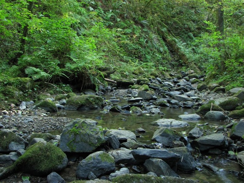 Balch Creek flows past the stone house and sitting on the rocks in the stream. The flowing water drowns out any sounds of the city.