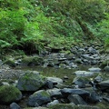 Balch Creek flows past the stone house and sitting on the rocks in the stream. The flowing water drowns out any sounds of the city.