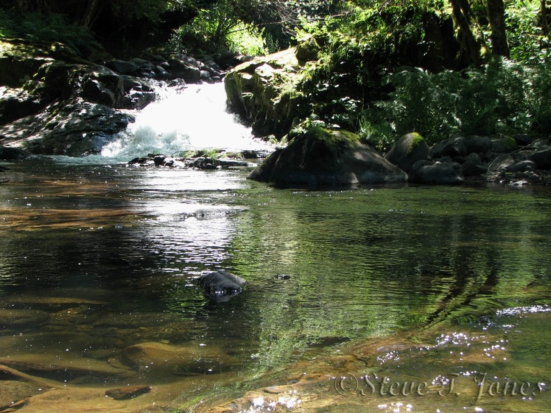 Sweet Creek cascades down a small fall and into a tranquil pool in the creek.