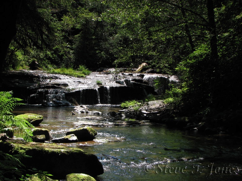 Sweet Creek sparkles in the summer sun.