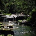 Sweet Creek sparkles in the summer sun.