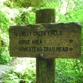 There is an alternate access to Homestead Falls but you miss walking along the pleasant trail.