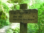 There is an alternate access to Homestead Falls but you miss walking along the pleasant trail.