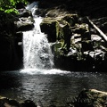 Sweet Creek Falls is a great place to take a break and sit on the mossy rocks.