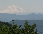 This trail has great views of Mt. Adams and Mt. Hood in many places.