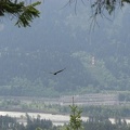 View of Bonneville Dam from the Pacific Crest Trail