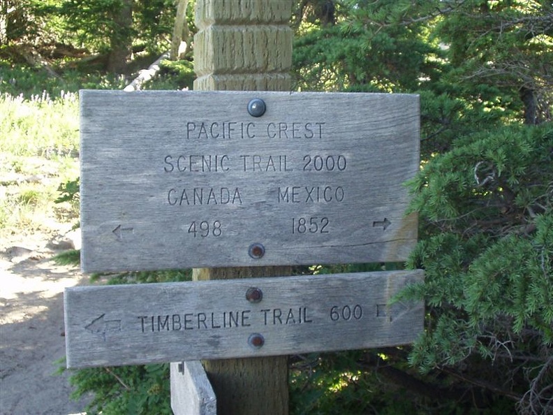 Trail junction where the Timberline makes a left and the PCT continues southbound.