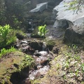 Snow along the Timberline Trail in July.