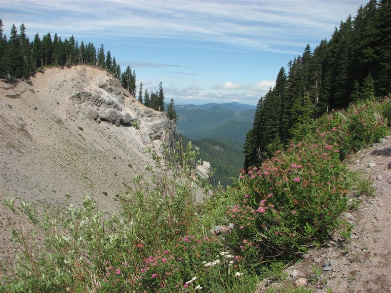 Looking southwest along the Timberline Trail.