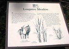 The trail loops around historic Longmire Meadows and has several signs explaining plants, wildlife, and history around the meadows.