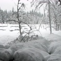 Winter snows cover Longmire Meadows in January.